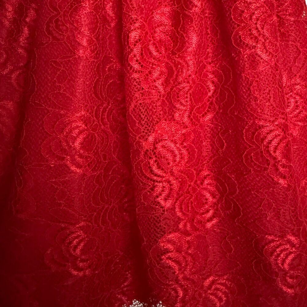 Wonder Nation Red Lace Dress Size 3T - Picture 6 of 8